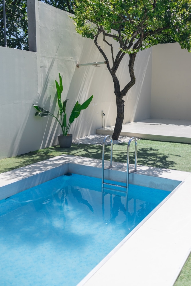 Petite piscine rectangulaire avec échelle en inox dans un jardin minimaliste avec gazon synthétique et plante.
